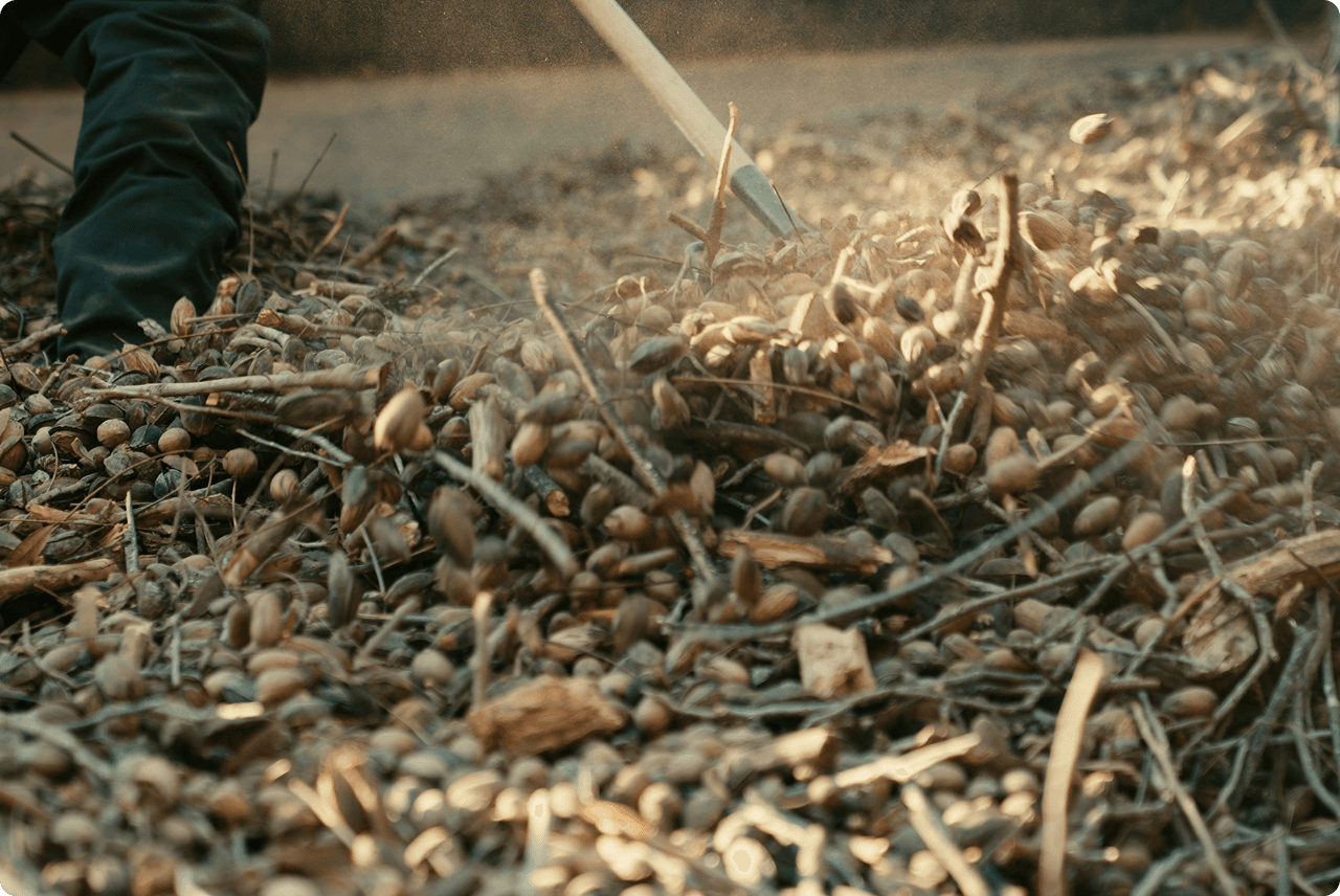 Harvest House Landscape